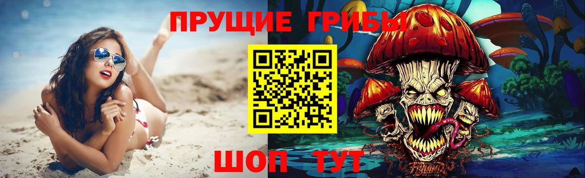 Псилоцибиновые грибы Psilocybine cubensis Егорьевск