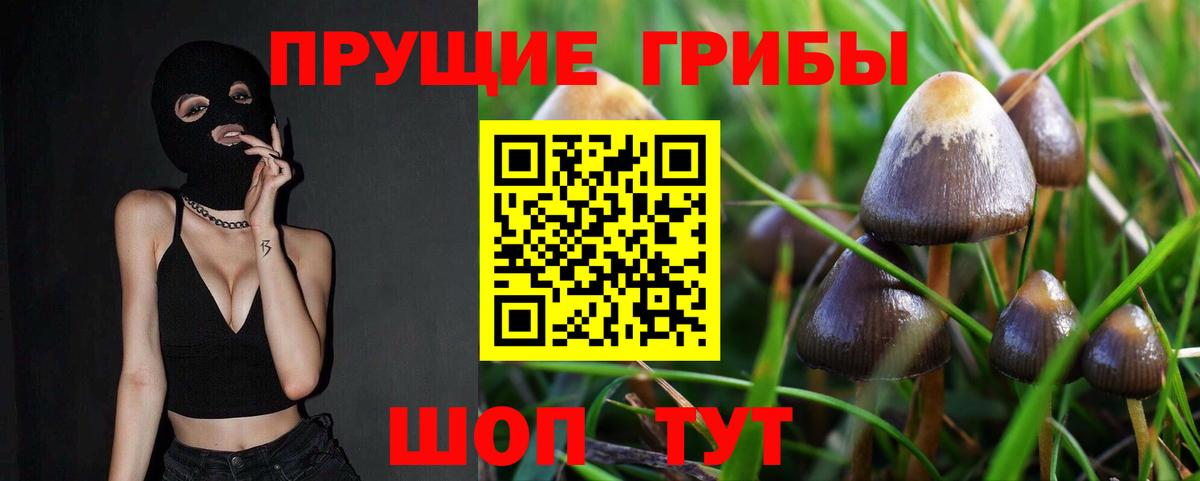 купить наркотики сайты  Вход с VPN  Егорьевск  Псилоцибиновые грибы Magic Shrooms 